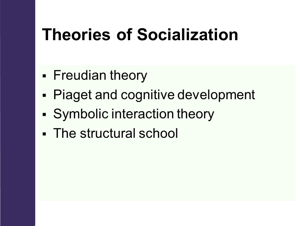 Chapter 3 Socialization. ppt download